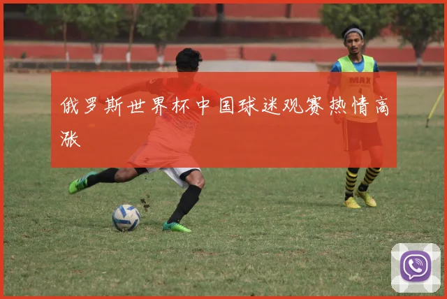 俄罗斯世界杯中国球迷观赛热情高涨