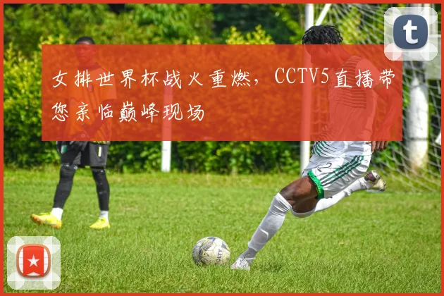 女排世界杯战火重燃，CCTV5直播带您亲临巅峰现场