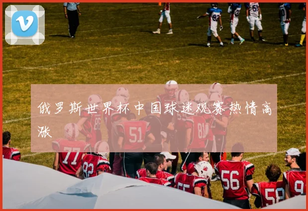 俄罗斯世界杯中国球迷观赛热情高涨