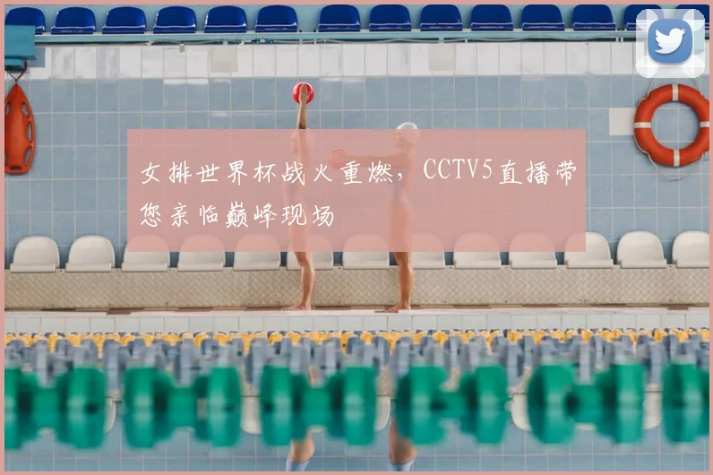 女排世界杯战火重燃，CCTV5直播带您亲临巅峰现场