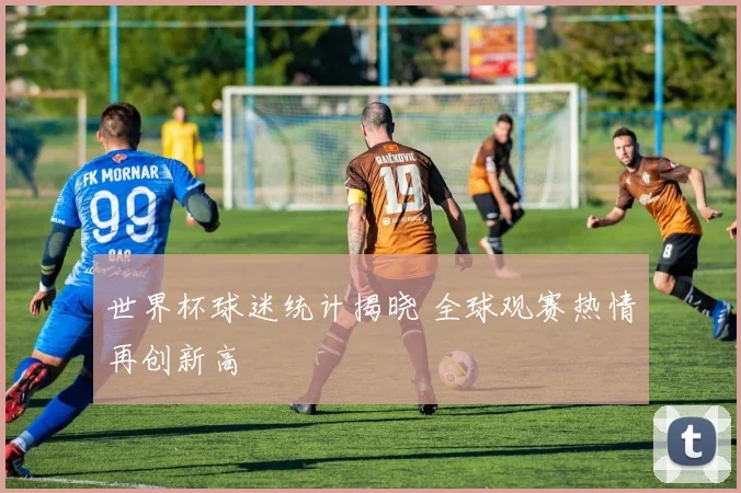 世界杯球迷统计揭晓 全球观赛热情再创新高