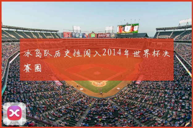 冰岛队历史性闯入2014年世界杯决赛圈