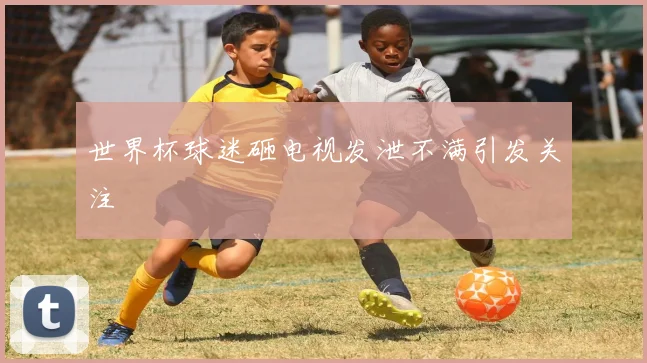 世界杯球迷砸电视发泄不满引发关注