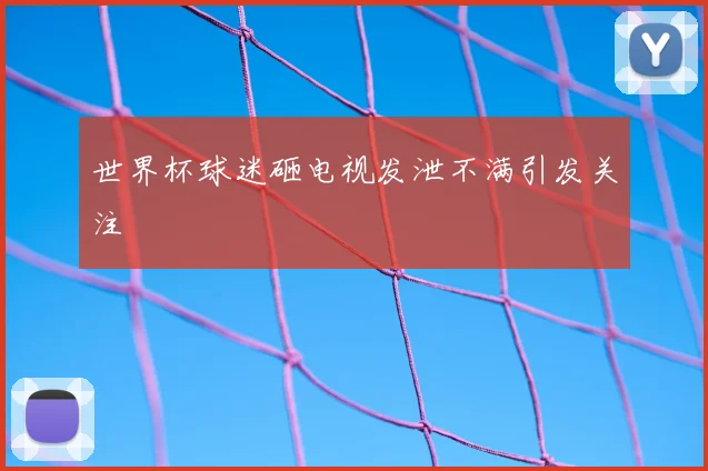世界杯球迷砸电视发泄不满引发关注