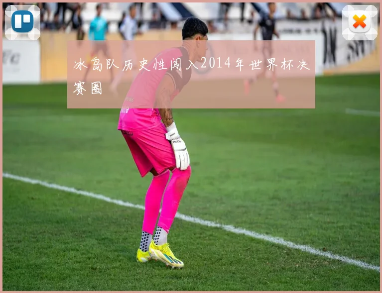 冰岛队历史性闯入2014年世界杯决赛圈