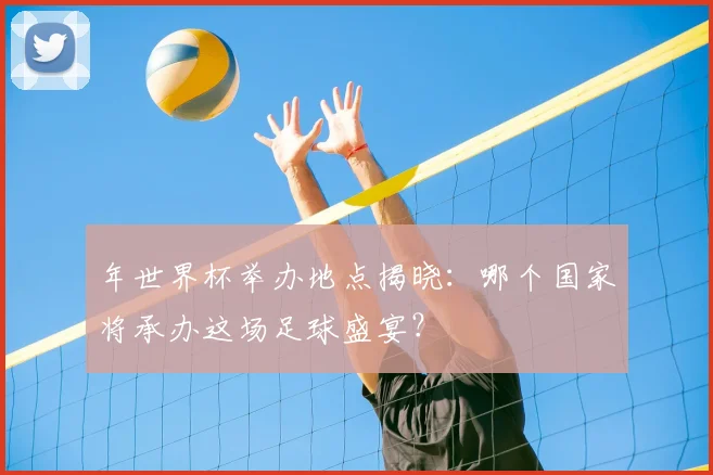 年世界杯举办地点揭晓：哪个国家将承办这场足球盛宴？