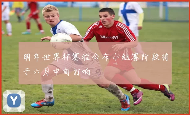 明年世界杯赛程公布小组赛阶段将于六月中旬打响