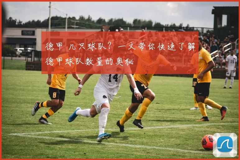 德甲 几只球队？一文带你快速了解德甲球队数量的奥秘