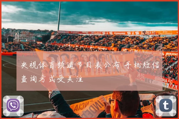 央视体育频道节目表公布 手机短信查询方式受关注