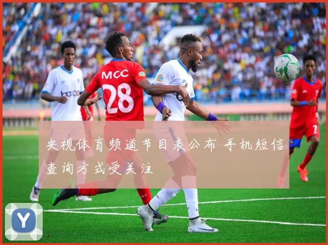 央视体育频道节目表公布 手机短信查询方式受关注