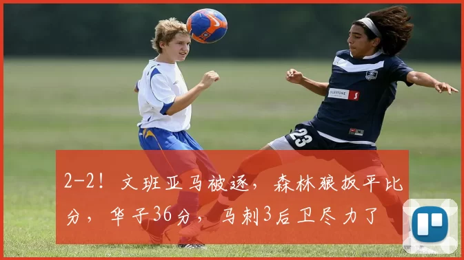 2-2！文班亚马被逐，森林狼扳平比分，华子36分，马刺3后卫尽力了