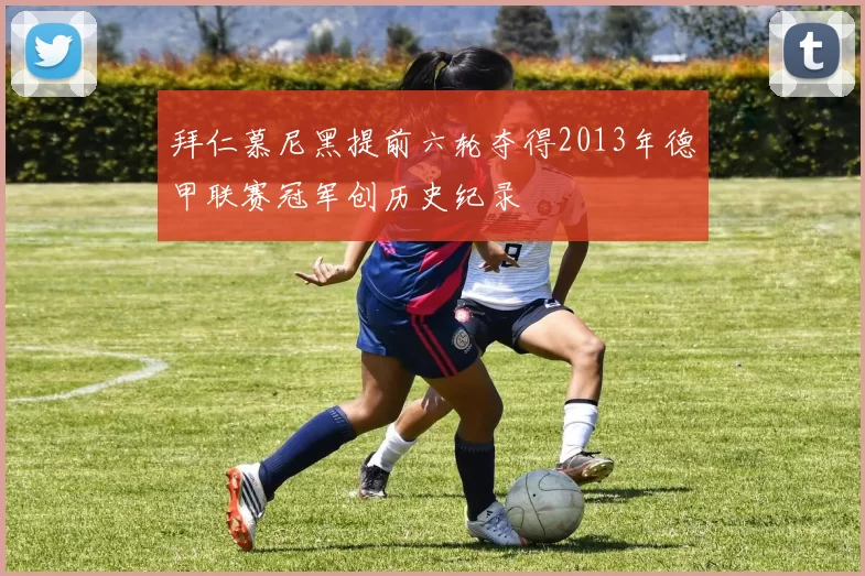 拜仁慕尼黑提前六轮夺得2013年德甲联赛冠军创历史纪录